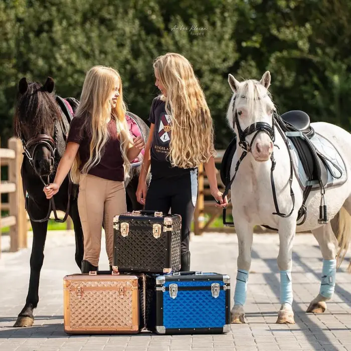 Top 3 des meilleurs choix de box de toilettage en aluminium pour chevaux en 2024