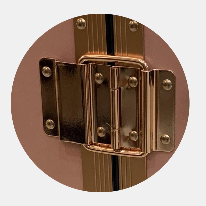 sturdy back hinges