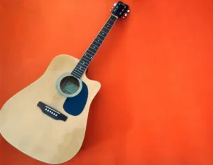 5 questions essentielles à poser au fabricant d'étuis de guitare