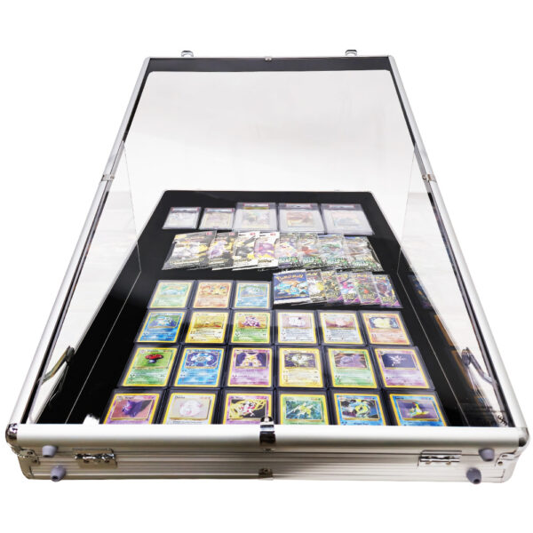 Acrylic Showing Case (1)