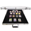 Acrylic Showing Case (2)