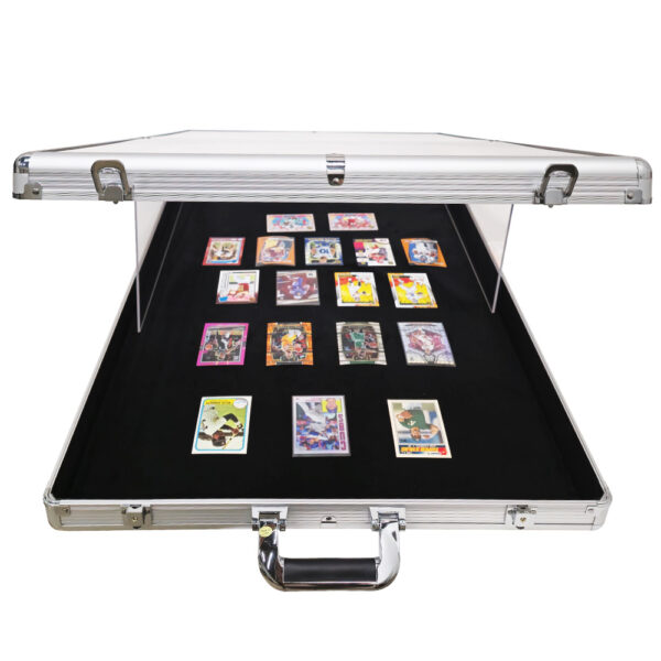 Acrylic Showing Case (2)