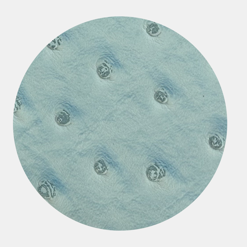 Blue ostric texture